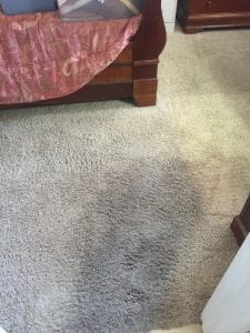 Carpet Repair