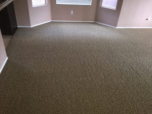 Carpet Cleaning