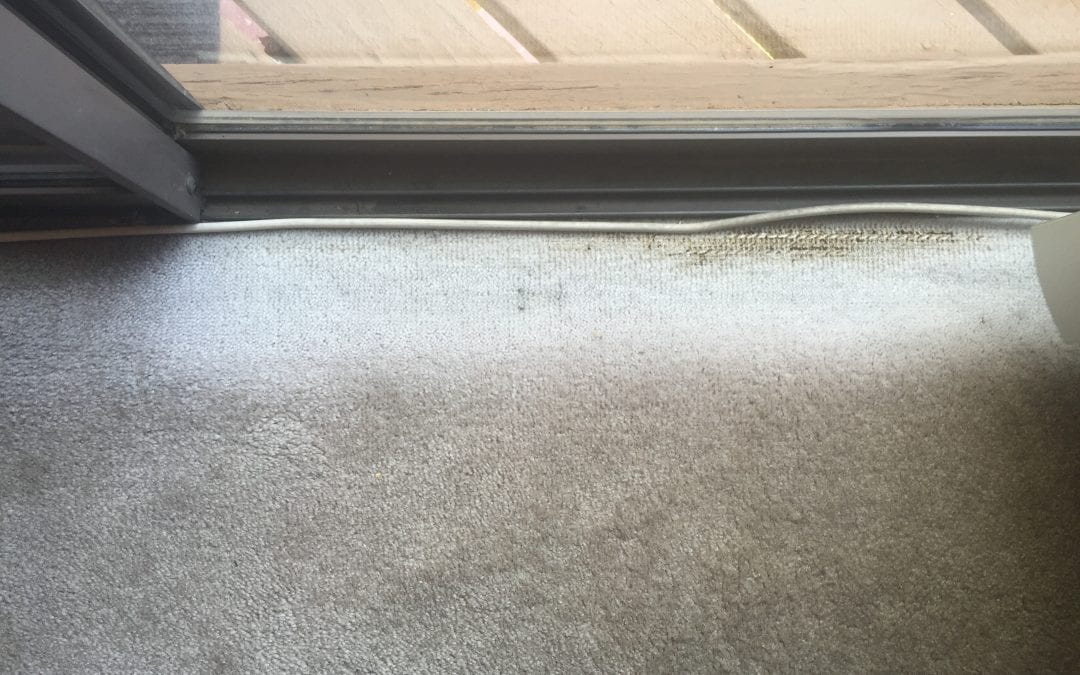 East Valley: Carpet Repair in Chandler