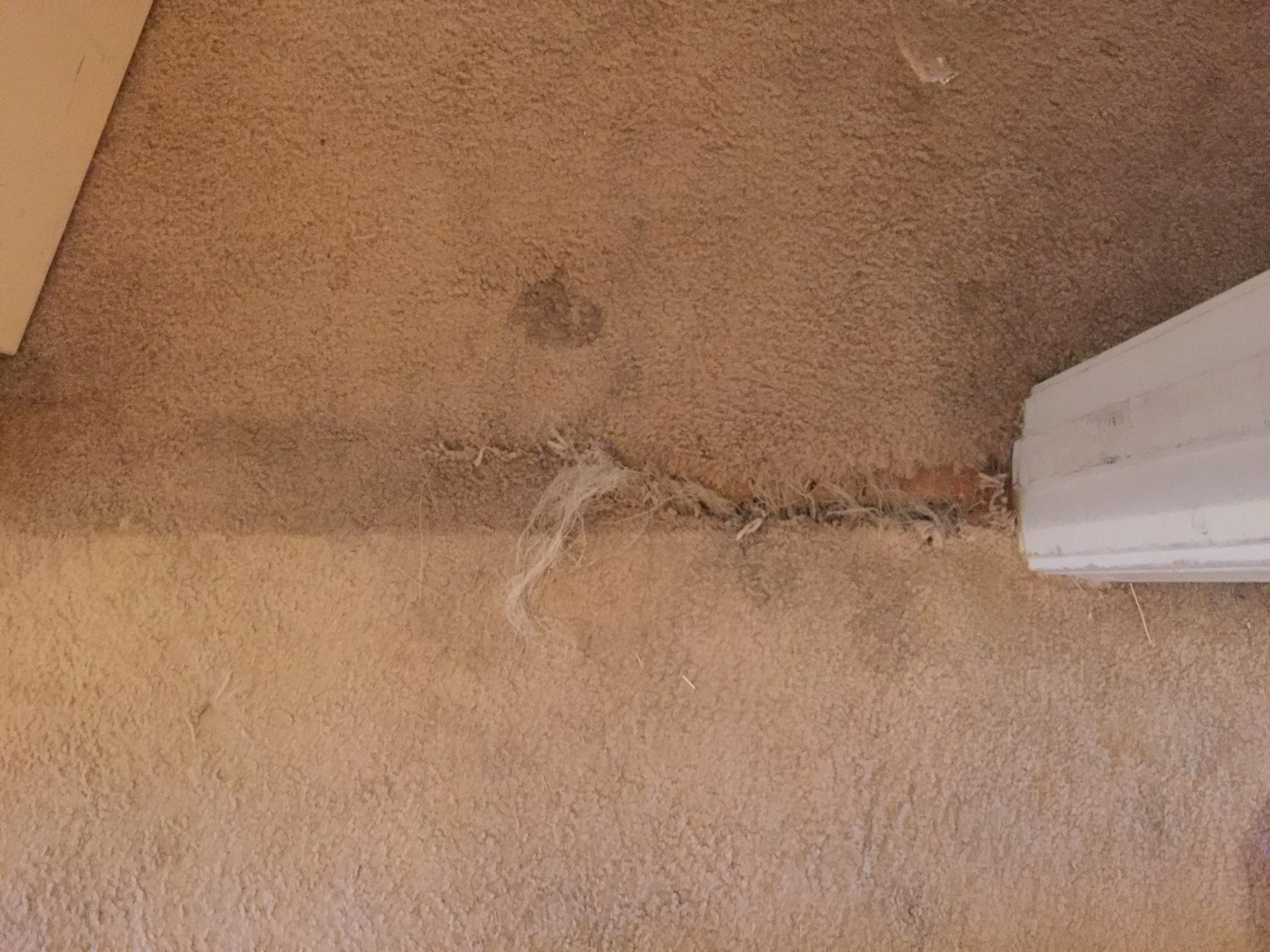 Repairing Carpet in Maricopa, AZ Peoria Carpet Repair & Cleaning