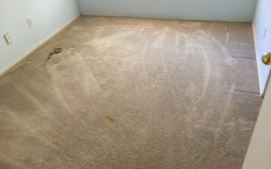 Carpet Cleaning: Serving The East Valley