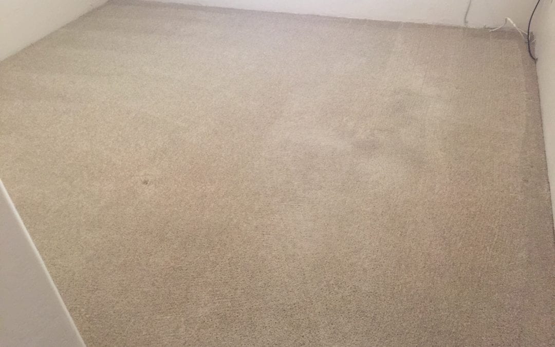 Carpet Cleaning in Fountain Hills